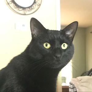 Meet your Posher, Jessica